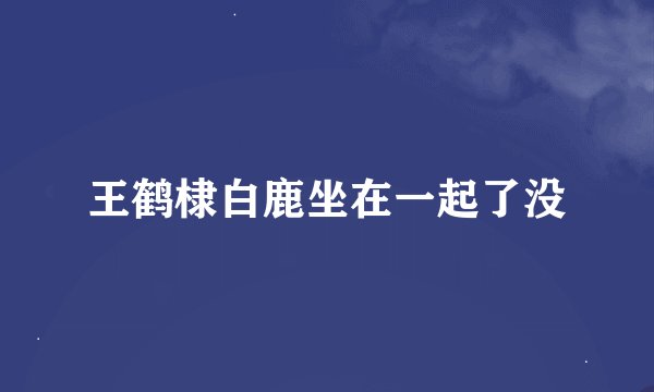 王鹤棣白鹿坐在一起了没