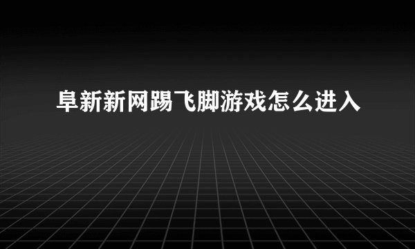 阜新新网踢飞脚游戏怎么进入