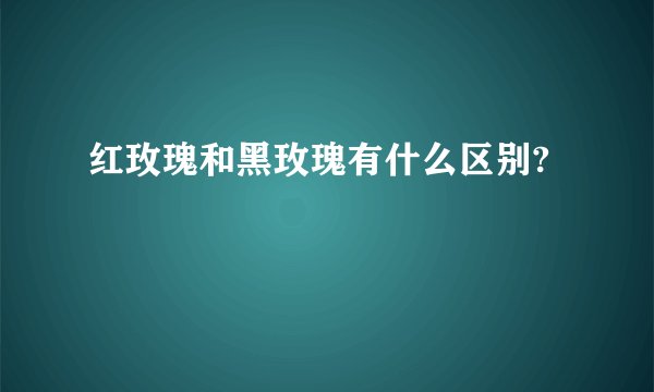 红玫瑰和黑玫瑰有什么区别?