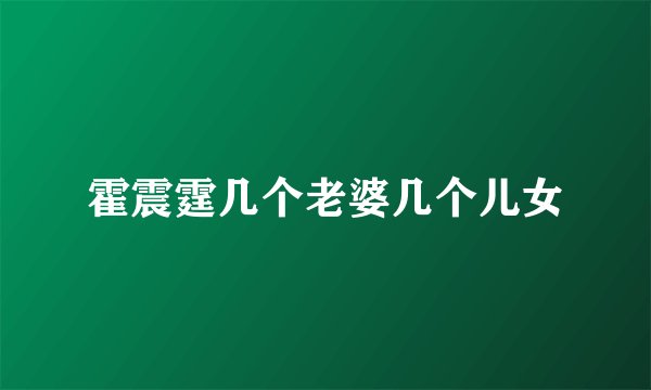 霍震霆几个老婆几个儿女