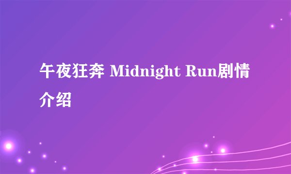 午夜狂奔 Midnight Run剧情介绍