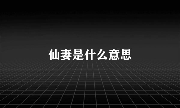 仙妻是什么意思