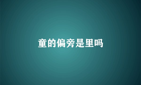 童的偏旁是里吗