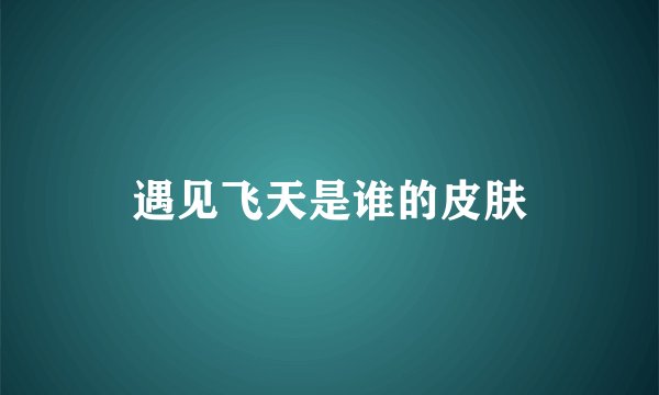 遇见飞天是谁的皮肤