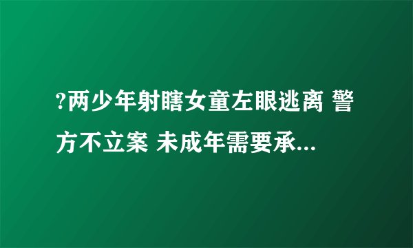 ?两少年射瞎女童左眼逃离 警方不立案 未成年需要承担法律责任吗