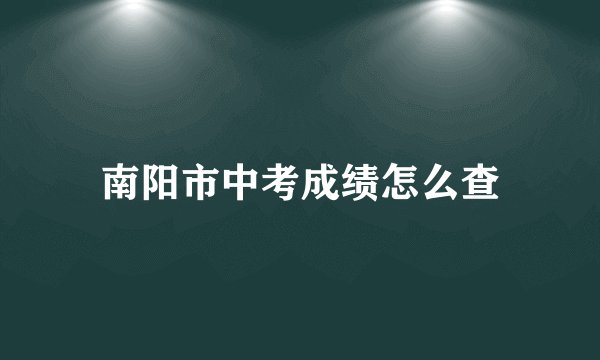 南阳市中考成绩怎么查