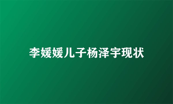 李媛媛儿子杨泽宇现状