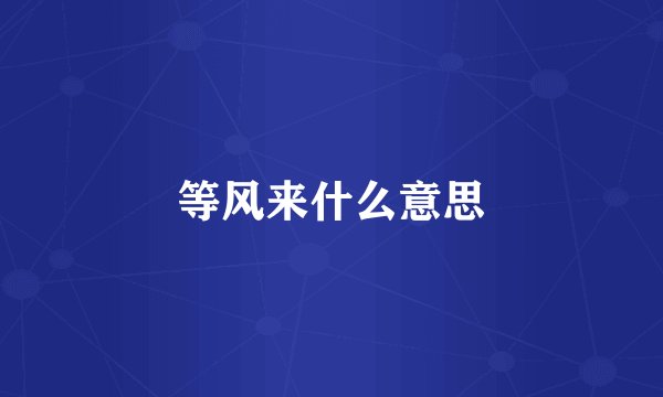 等风来什么意思