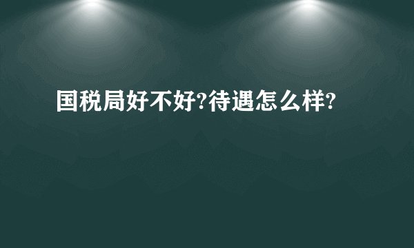 国税局好不好?待遇怎么样?
