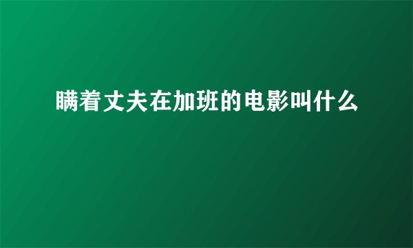 瞒着丈夫在加班的电影叫什么
