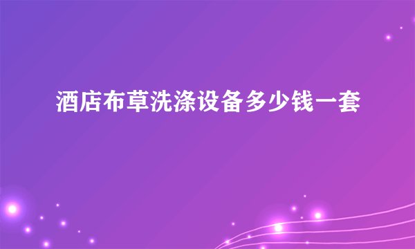 酒店布草洗涤设备多少钱一套