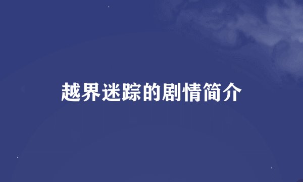 越界迷踪的剧情简介