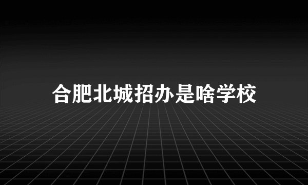 合肥北城招办是啥学校