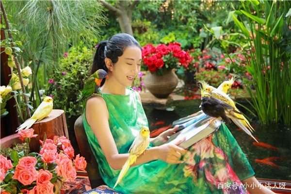杨丽萍这么多年都没摘帽子,大家以为是装饰实则并不是,真相究竟是什么?