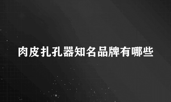 肉皮扎孔器知名品牌有哪些