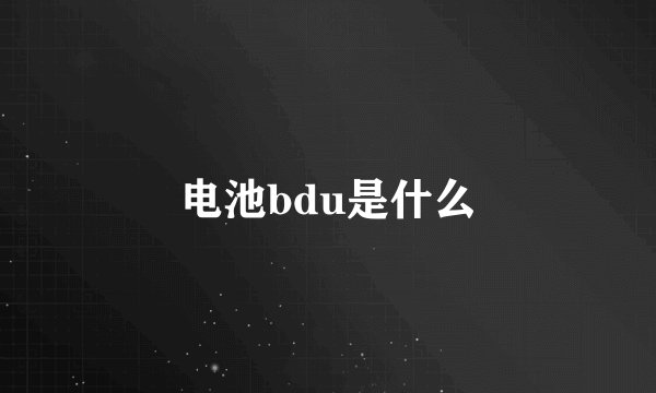 电池bdu是什么