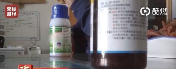 养海参整箱放敌敌畏，其实营养价值还不如鸡蛋，不要再花冤枉钱