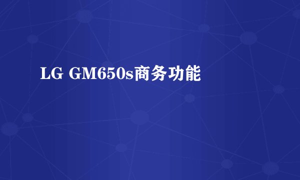 LG GM650s商务功能