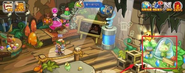 洛克王国魔力猫怎么超进化,原料怎么得到?