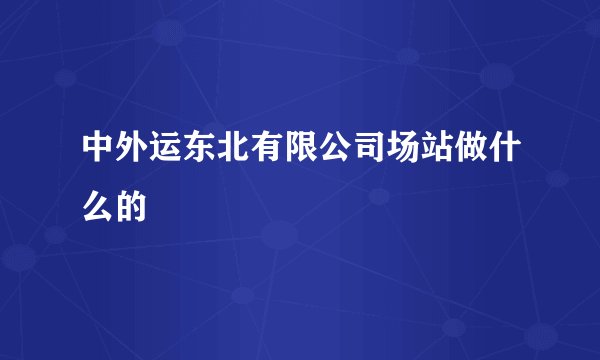 中外运东北有限公司场站做什么的