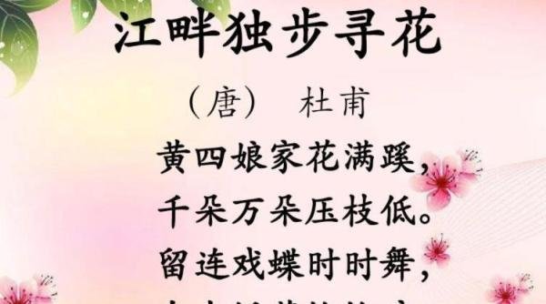 《江畔独步寻花》的翻译和注释 《江畔独步寻花》的译文