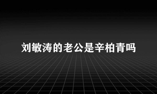 刘敏涛的老公是辛柏青吗