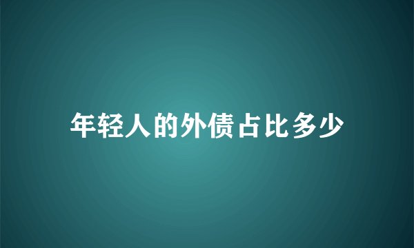年轻人的外债占比多少
