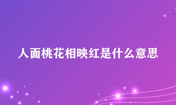 人面桃花相映红是什么意思