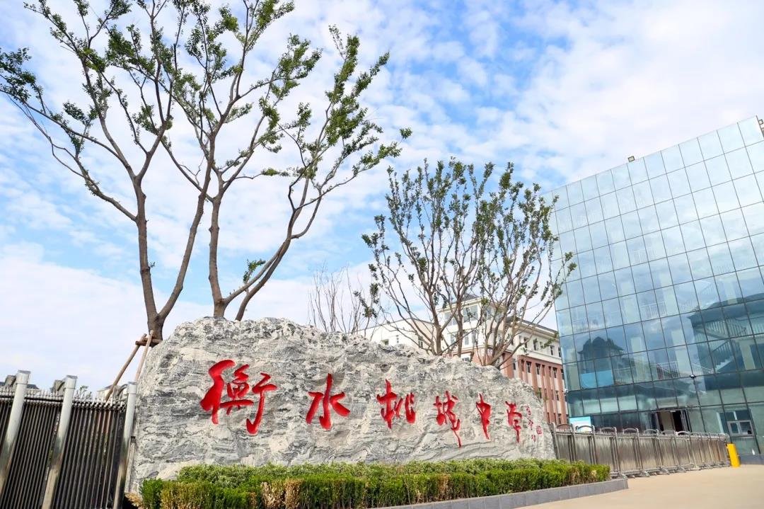 官方通报衡水桃城中学调查结果，该学校存在哪些问题？
