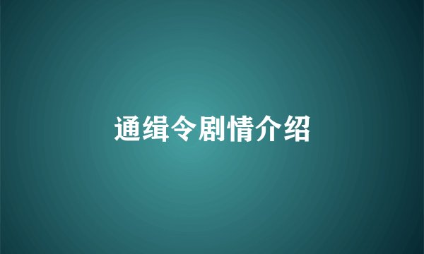 通缉令剧情介绍