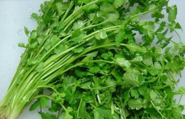 世界讨厌香菜日是谁的节日？