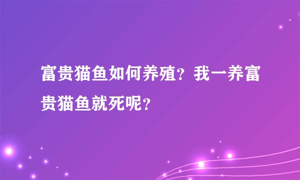 富贵猫鱼如何养殖？我一养富贵猫鱼就死呢？