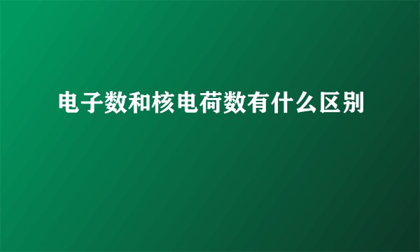 电子数和核电荷数有什么区别