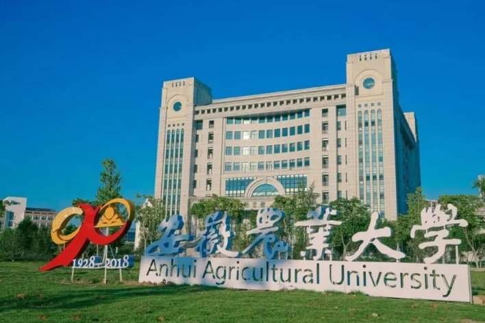 安徽农业大学十教在哪里