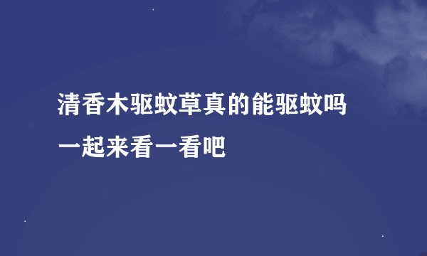 清香木驱蚊草真的能驱蚊吗 一起来看一看吧