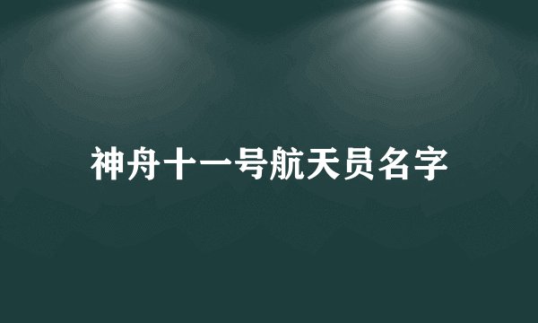 神舟十一号航天员名字