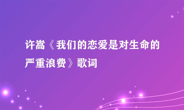 许嵩《我们的恋爱是对生命的严重浪费》歌词