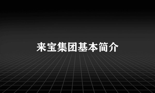 来宝集团基本简介