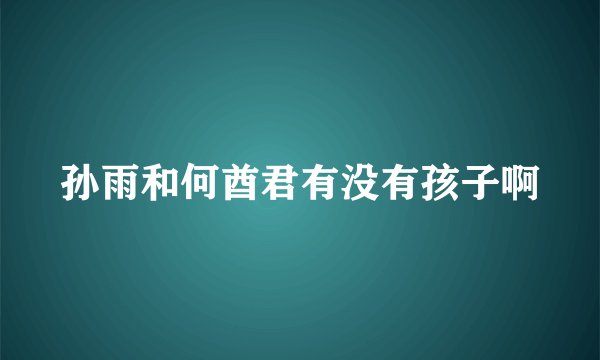 孙雨和何酋君有没有孩子啊