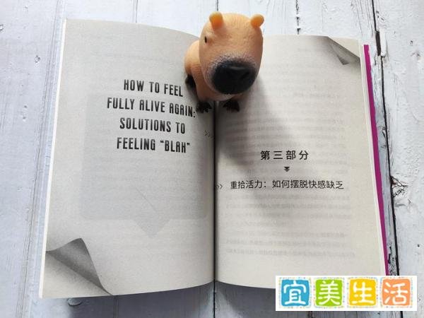 今天你快乐了吗?