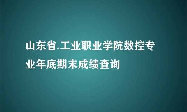 山东省.工业职业学院数控专业年底期末成绩查询
