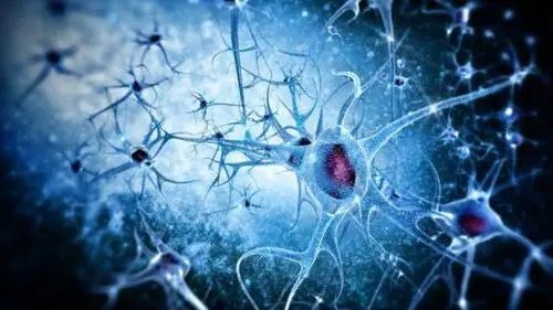 科学家首次证明:人脑细胞在体外也有智力,这意味着什么?