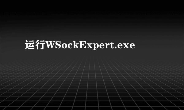 运行WSockExpert.exe