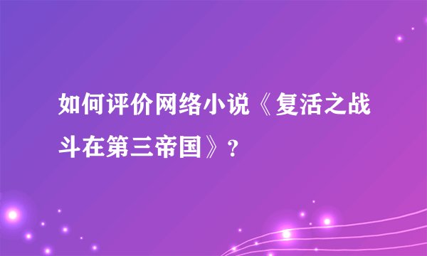 如何评价网络小说《复活之战斗在第三帝国》？