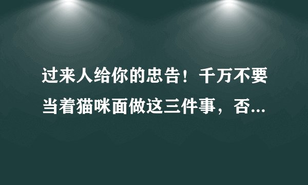 过来人给你的忠告!千万不要当着猫咪面做这三件事,否则你一定会后悔!