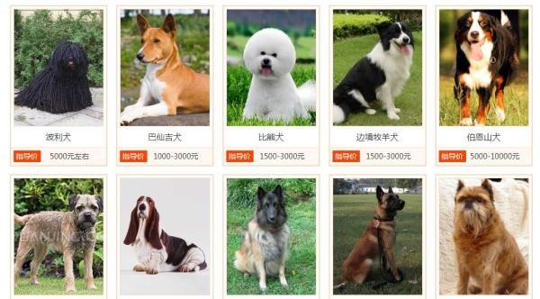 10个实用良心网站,个个是精品,每一个都值得收藏(日常生活必备)