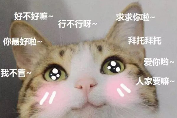 撒娇八连是哪几句