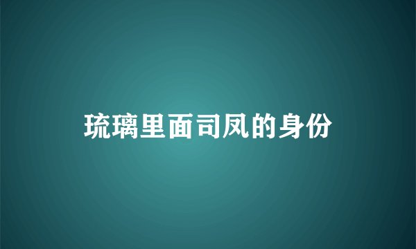 琉璃里面司凤的身份