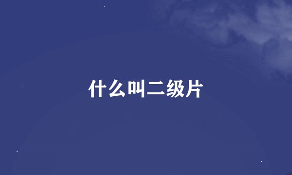 什么叫二级片