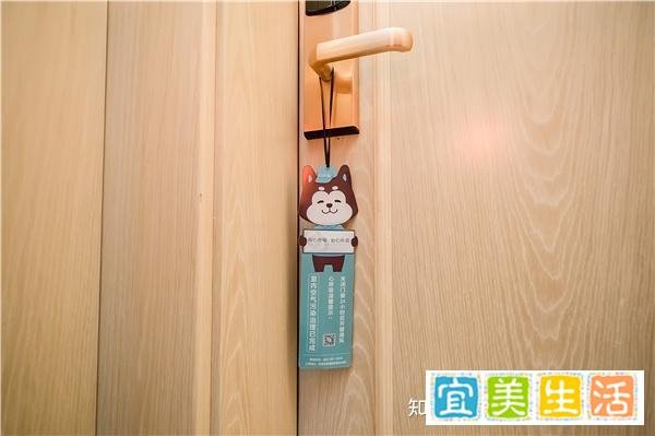 2023年创业加盟火爆的项目有哪些？